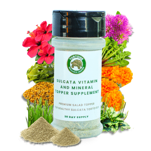 Sulcata_Vitamin _Mineral_Topper_Supplement_Tortoise_Resource_Center