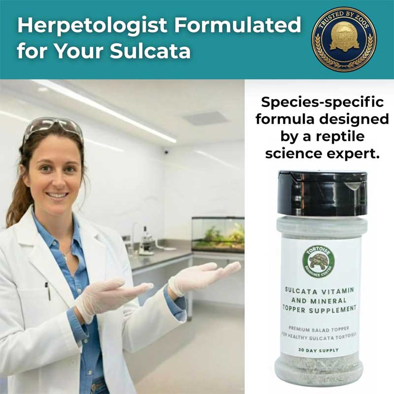 Vitamin & Mineral Topper Supplement