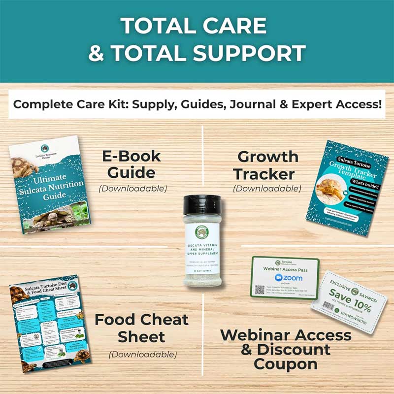 Vitamin & Mineral Topper Supplement