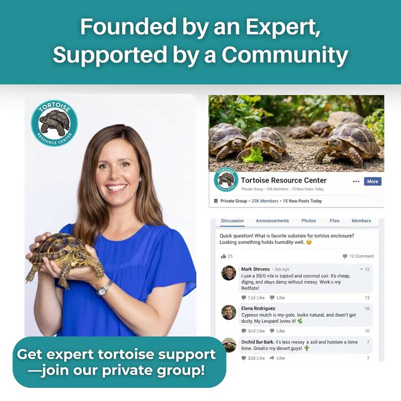 Vitamin & Mineral Topper Supplement