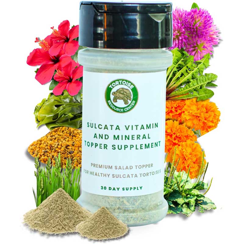 Vitamin & Mineral Topper Supplement