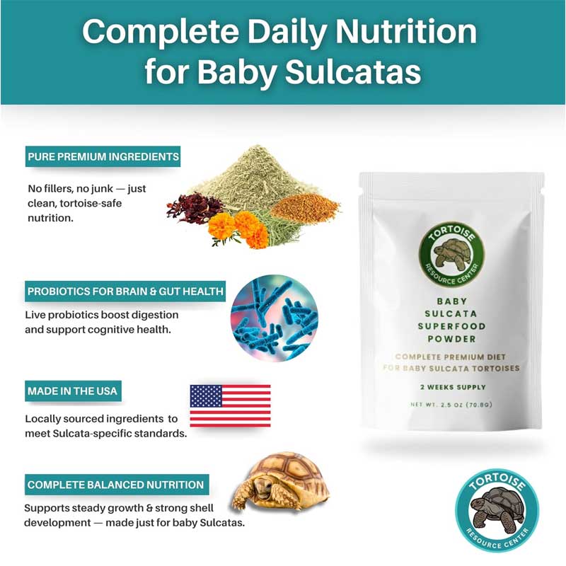 Baby Sulcata Food Powder