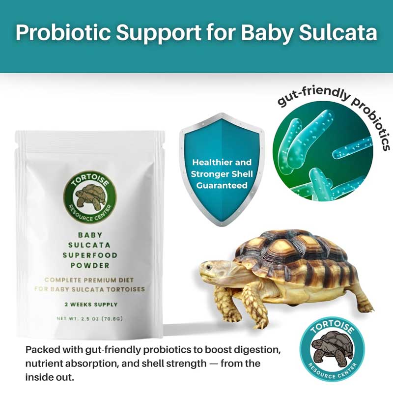 sulcata food powder