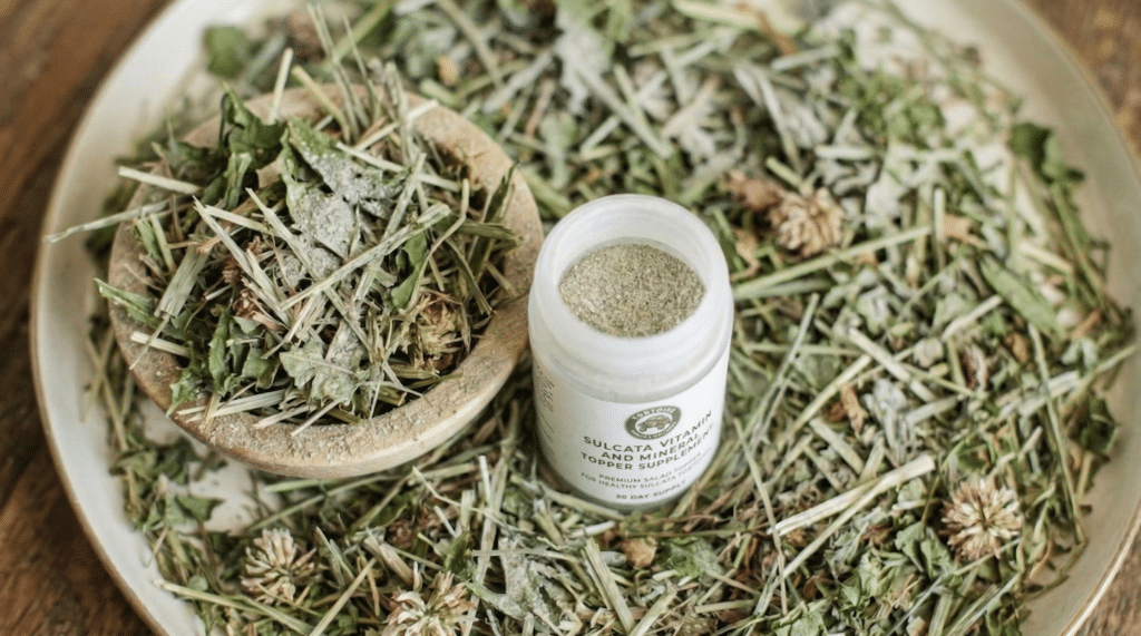 How much do baby sulcatas need to eat? Get stage-by-stage amounts, visual portion guides, and the feeding quality factors.