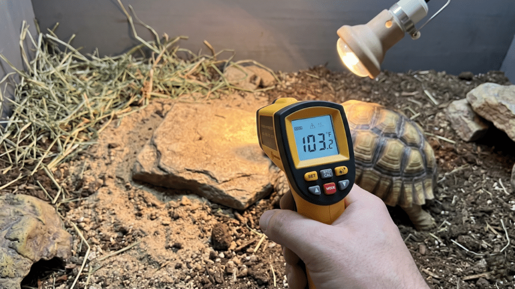 Sulcata Tortoise Temperature and Humidity: The Complete Setup and Troubleshooting Guide 7 Get sulcata tortoise temperature and humidity right at every life stage. This complete guide covers targets, thermal gradients and more.