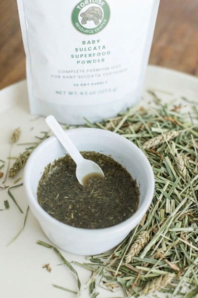 Baby Sulcata Superfood Powder with Hay