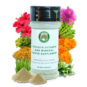 Sulcata Vitamin Mineral Topper Supplement Tortoise Resource Center Sulcata Vitamin Mineral Topper Supplement Tortoise Resource Center