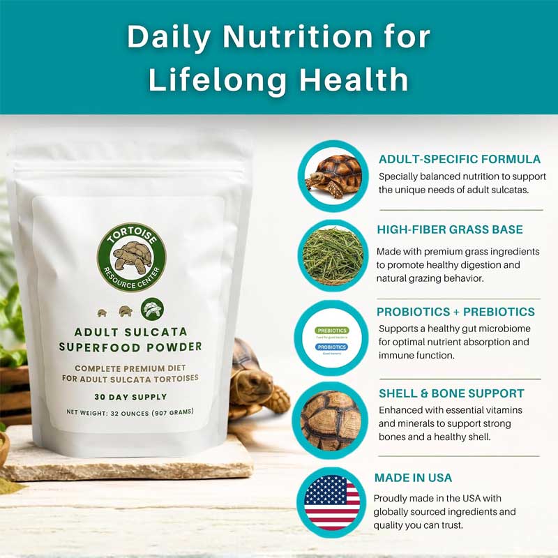 Adult Sulcata Superfood