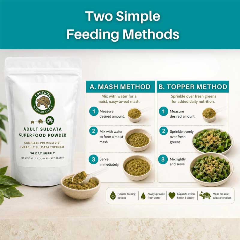 Adult Sulcata Superfood