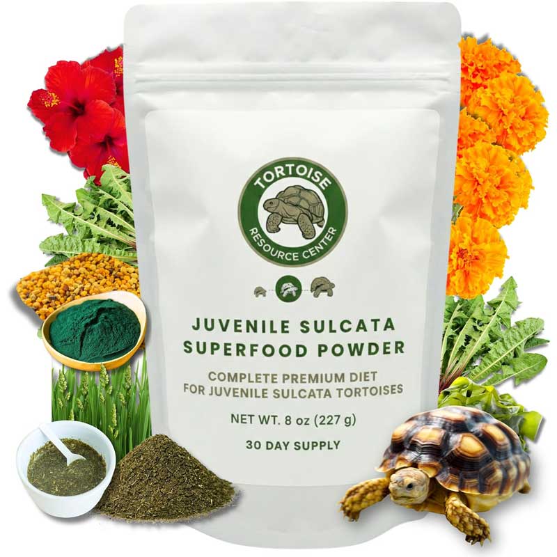 Juvenile Sulcata Superfood