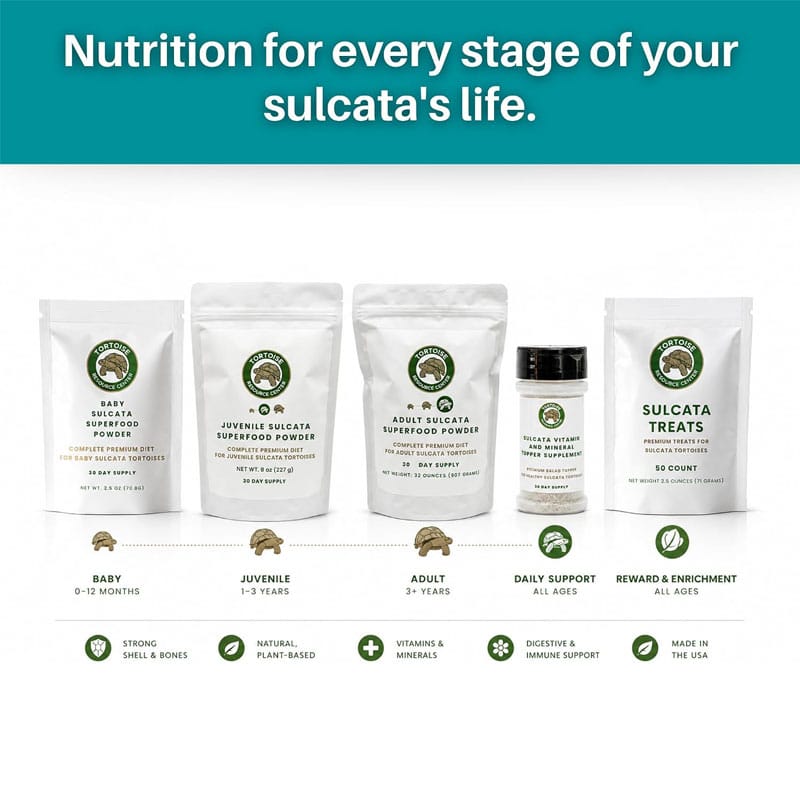 Juvenile Sulcata Superfood