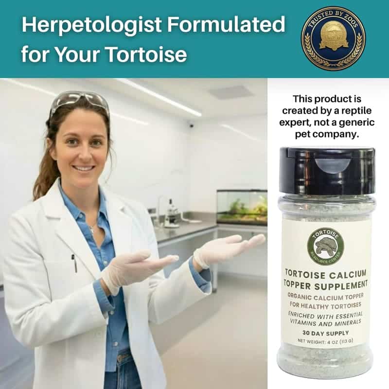 Tortoise Calcium Topper with Vitamin D3