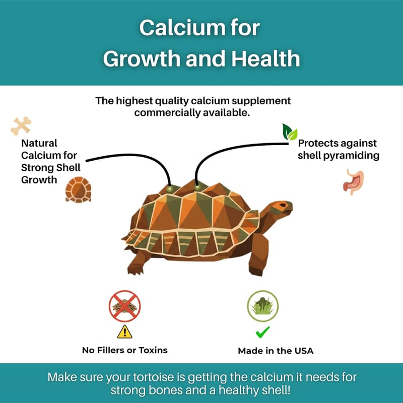 Tortoise Calcium Topper with Vitamin D3