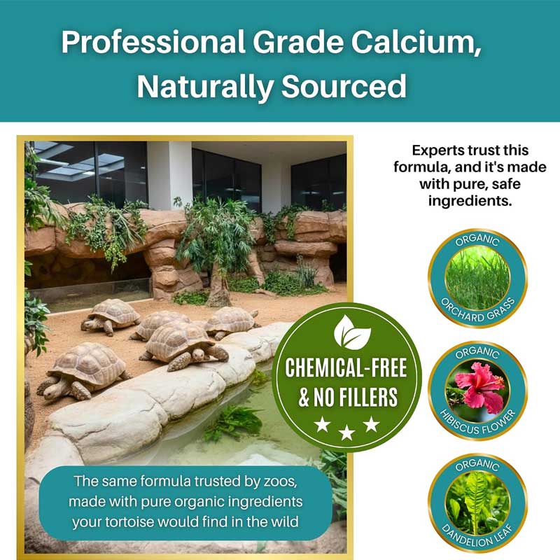 Tortoise Calcium Topper with Vitamin D3