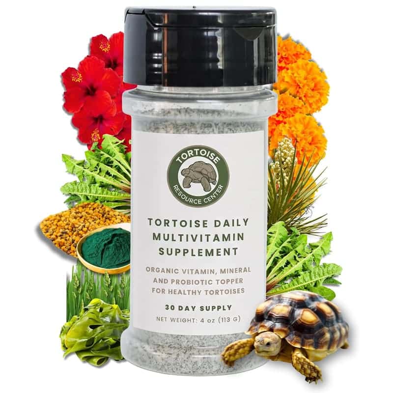 Tortoise Daily Multivitamin Supplement
