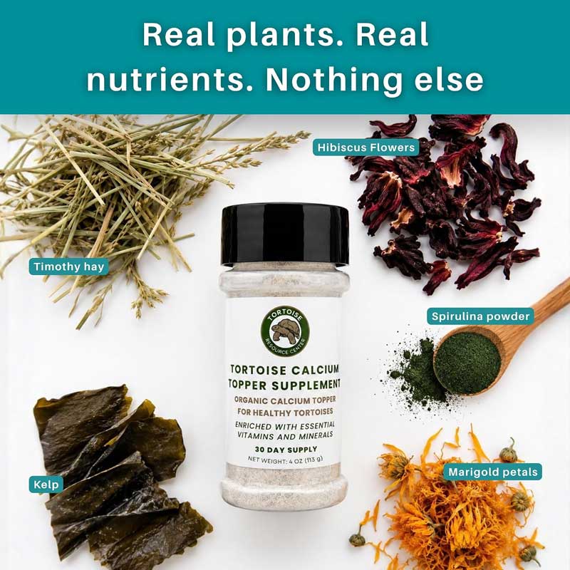 Tortoise Daily Multivitamin Supplement