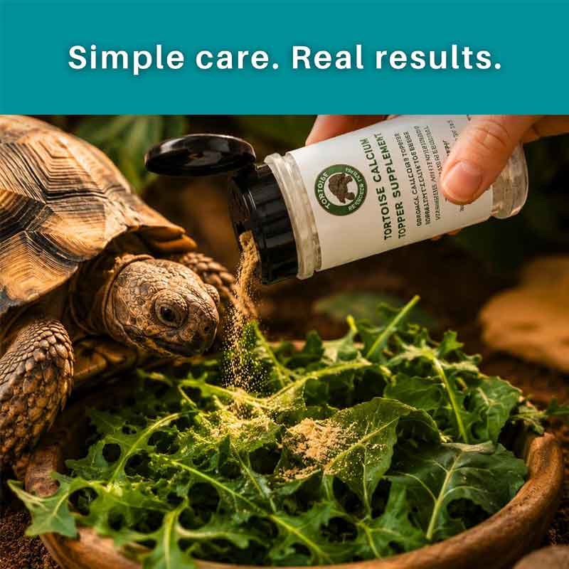 Tortoise Daily Multivitamin Supplement
